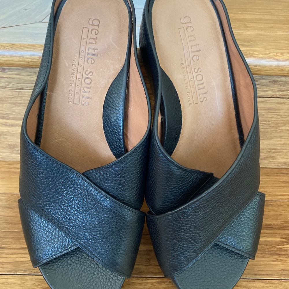 Gentle Soul Black Shoe